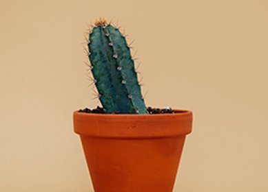 블랙홀 호빠 조용한 대화 공간 이미지